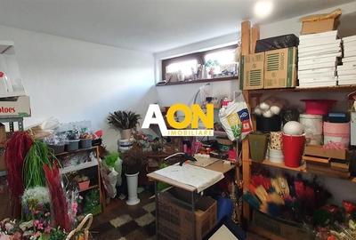 Casa parter+demisol, 1200 mp teren, pretabila pt 2 familii, Sard - 23