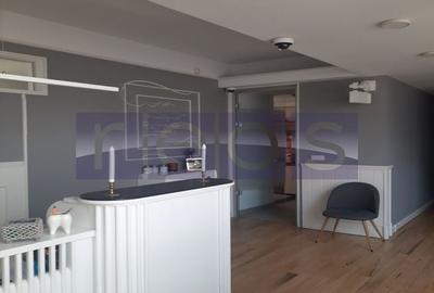 VANZARE VILA S+P+4E | ZONA AVIATORILOR | OPORTUNITATE - 22