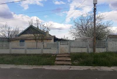 Casă cu 3 camere cu Teren 2500 Mp în Balabancea - 4