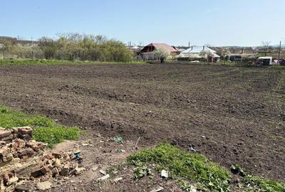 Spațiu comercial, în Șimian - 1