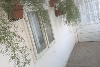 Casa de vanzare in Alio? jude?ul Timi? Casa de vanzare in Alio? jude?ul Timi? - 5