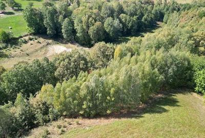 Teren de 10000 mp, în Sohodol