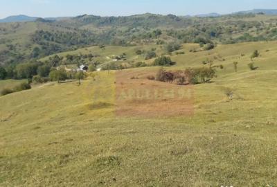 Teren de 9037 mp, în Plaiul Tălii