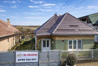 Gospodarie cu atmosfera traditionala,sursa proprie apa,pivni - 3