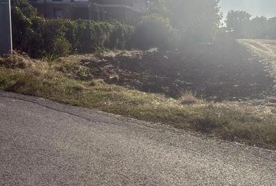 Teren Intravilan 1750mp, deschidere 15,88m - Caciulati, Ilfov - 2