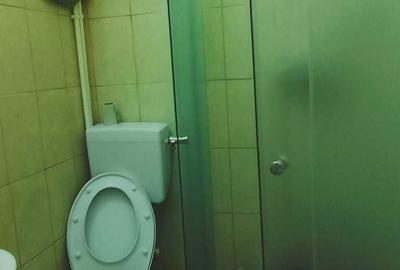 Garsonieră semidecomandată în Tătărași - 8