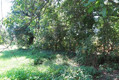 Teren de 17777 mp, în Central - 7