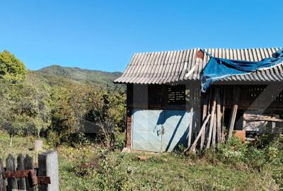 Teren cu priveli?te superba , livada ?i poten?ial casu? - 18