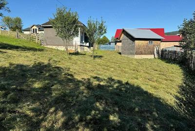 Casă cu Teren 1642 Mp în Greșu - 3