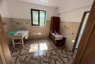 Casă în Dumitrești - 1