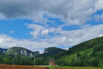 Casă cu 4 camere în Bicaz-Chei - 8