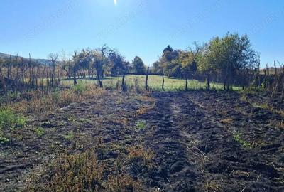 TEREN INTRAVILAN ?I EXTRAVILAN POLOVRAGI-RACOVI?A - 4