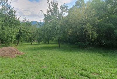 Teren de 4000 mp, în Izvoarele - 3