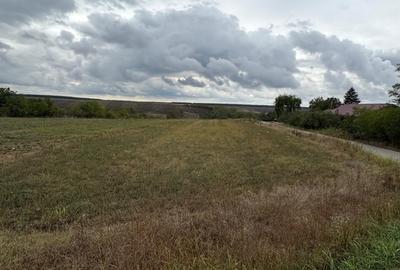 Teren în Pantelimon - 9