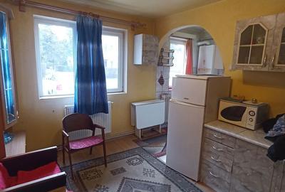 Apartament cu 2 camere în Simeria - 11