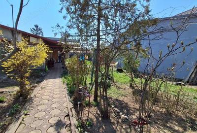 Casă cu Teren 450 Mp în Mihai Bravu