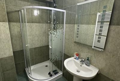 Proprietate cu piscina Dumbravita - 24