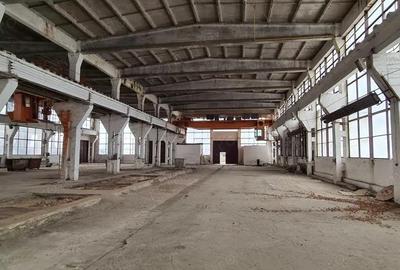 Brasov hala industriala 2000 mp cu platforma betonata - 3