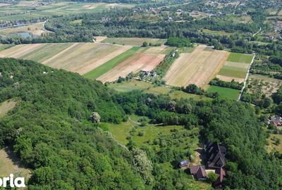 Casă cu Teren 24700 Mp în Copalnic - 5