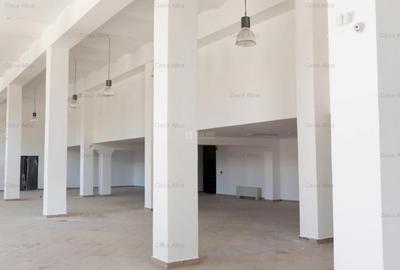 Spatiu de inchiriat, 809mp, amenajat, Tatarasi Sud - 4