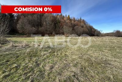 COMISION 0% Teren extravilan 1630 mp langa Rau pe Valea Sebesului - 1