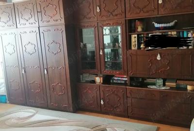 Apartament cu 3 camere decomandat în Tineretului - 8