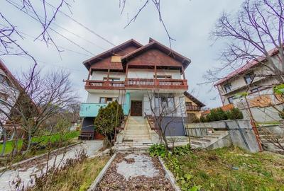 De inchiriat-casa ideala pentru sediu sau spatiu comercial-Parcul Mare - 11
