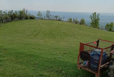 Spațiu comercial, în Luncani - 8