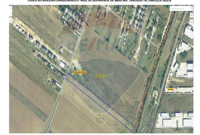 Teren intravilan de 8600 mp, în Dragomirești-Vale - 2