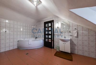 Vila/Pensiune de inchiriat in cartierul Zorilor Vila/Pensiune de inchiriat in cartierul Zorilor - 26