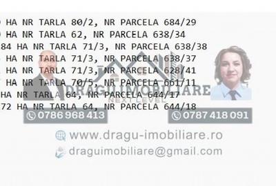 Teren agricol Munteni/Galati / 7.5 ha - 2