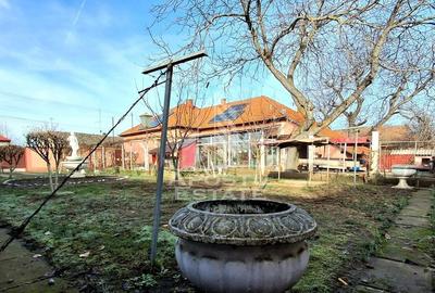 Casa Spatioasa cu Teren Generos in Vladimirescu - 30