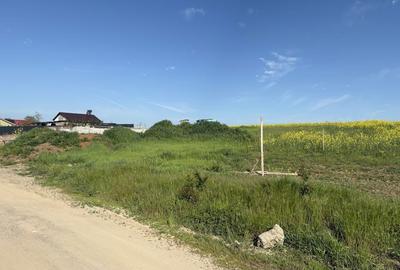 Spațiu comercial, în Tâncăbești - 4