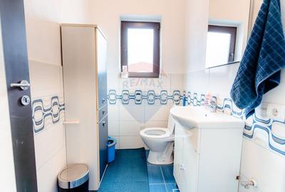 Vânzare casă P+1 – 245 mp utili, teren 1.240 mp – Băbana,  Argeș - 9