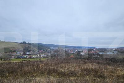 Teren intravilan 4774 mp de vanzare in Livezeni - 5