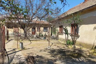 Vand casa+anexe+ garaj , ianca olt - 2
