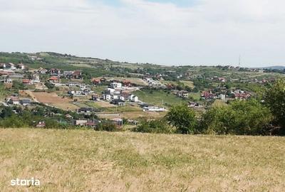 Teren de 10480 mp, în Paleu - 2