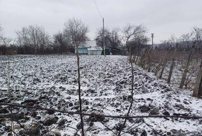 Casă cu 2 camere în Cozmești - 6