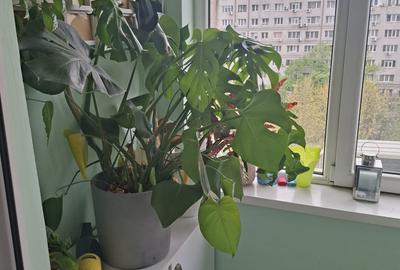 Apartament cu 2 camere decomandat, mobilat în Sălăjan - 11