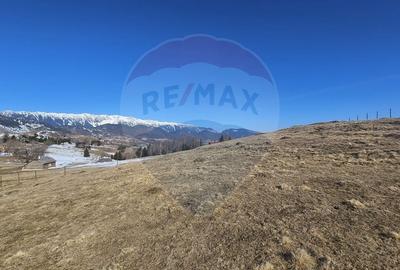 Teren agricol extravilan de 1924 mp, în Șirnea - 3