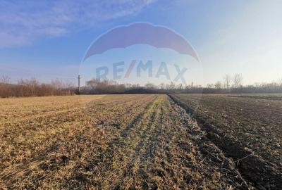Teren intravilan 4400 mp sau parcele - 2