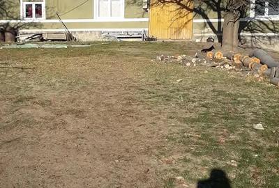 Casa cu 6 ha de teren - 2