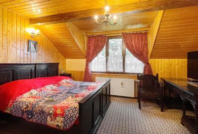 Complex de 3 case pe 18000 mp teren - 24