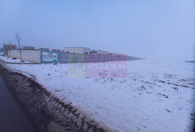 Teren Domnesti de vanzare - 6