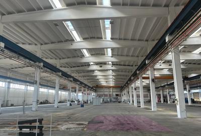 Spatiu depozitare & productie Brasov - Ghimbav - 3