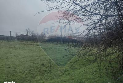 Spațiu comercial, în Cocora - 11