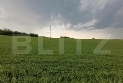 Casă cu 4 camere cu Teren 21500 Mp în Dej