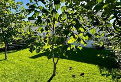 Casă individuală cu 4 camere cu Canalizare în Corbeanca - 5