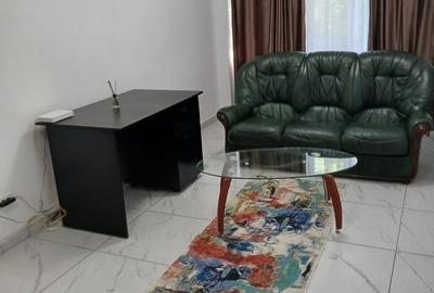 Apartament cu 2 camere semidecomandat în Nicolae Grigorescu - 7