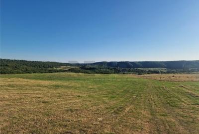 RECO teren extravilan Betfia - 1